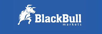 BlackBull Markets Broker Review 2022 - Regulated ECN Broker from New Zealand