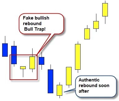Bull Trap and Bear Trap - Traps in the markets bull-trap-example