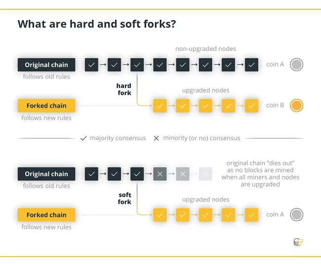 What is a blockchain fork? hard-soft-forks-crypto