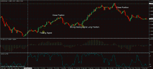 skidive_trading_system