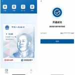 Digital yuan wallet