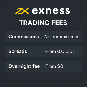 EXNess trading fees